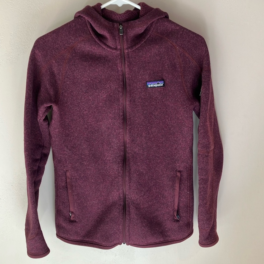 Patagonia Better Sweater Hoody